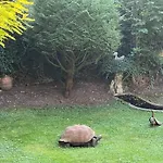 La Maison Saint Joseph Bed & Breakfast 3*