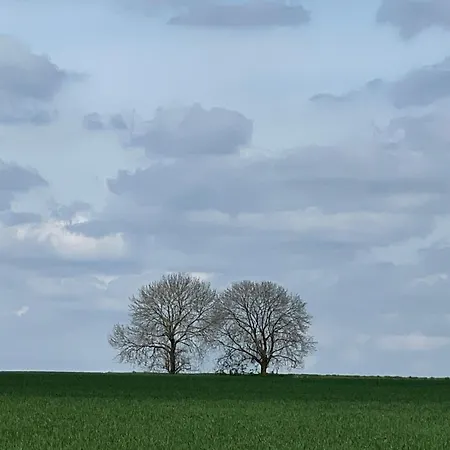 La Maison Saint Joseph Crépy-en-Valois