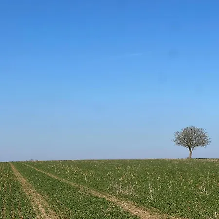 La Maison Saint Joseph 3*