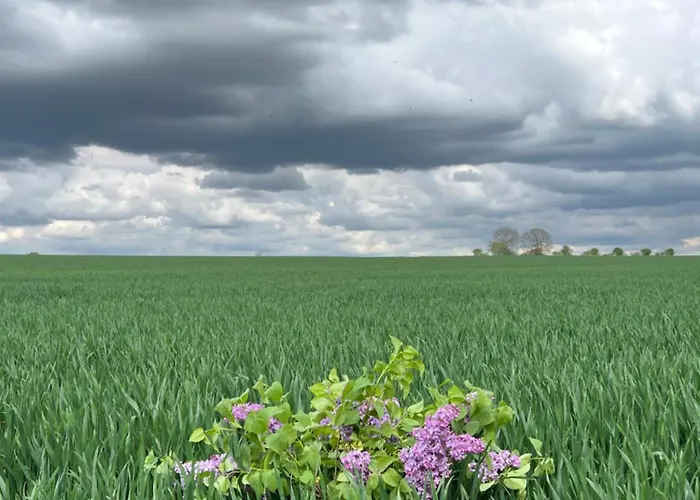 La Maison Saint Joseph 3*