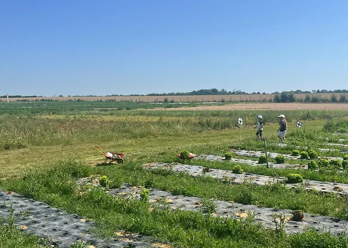 Couette-café La Maison Saint Joseph Crépy-en-Valois