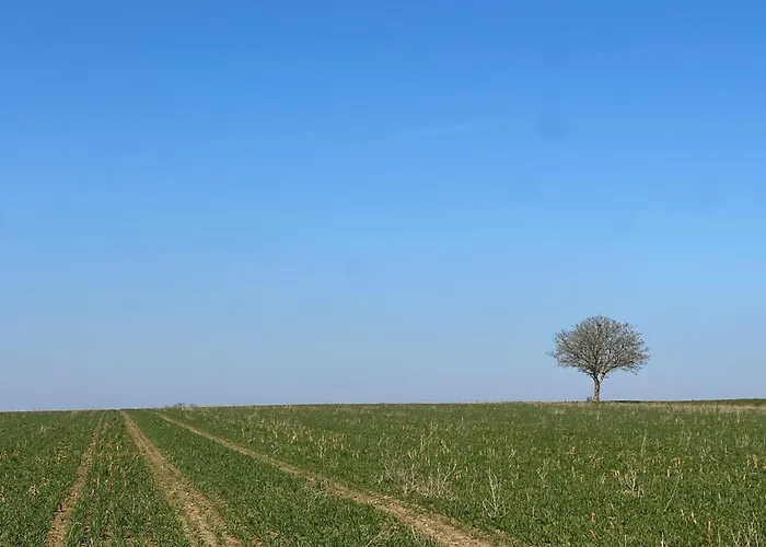 La Maison Saint Joseph 3*