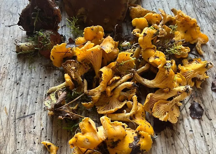 Couette-café La Maison Saint Joseph Crépy-en-Valois