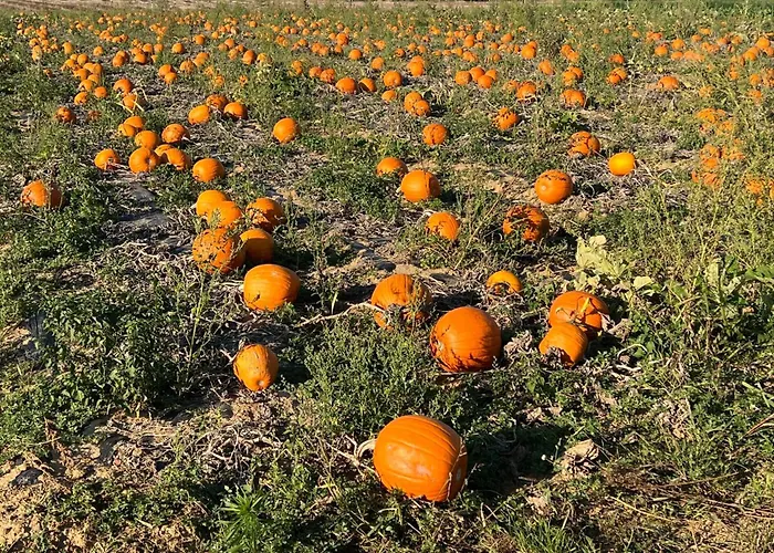 La Maison Saint Joseph 3* Crépy-en-Valois