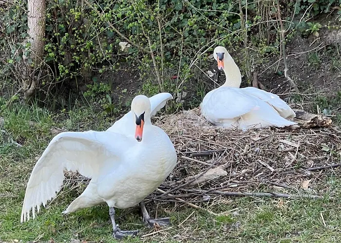 La Maison Saint Joseph