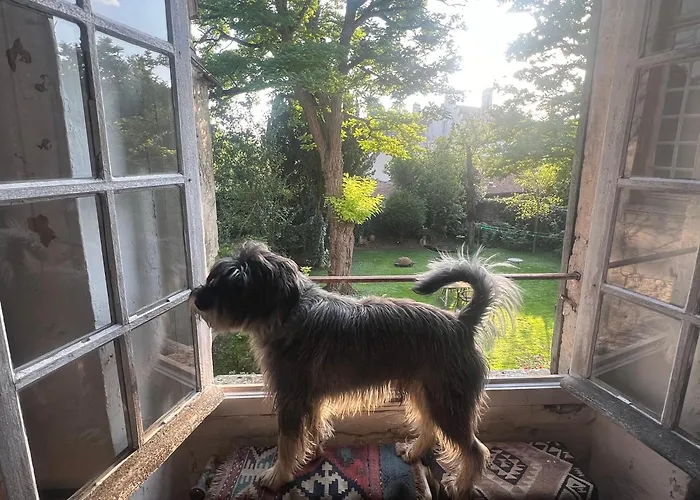 住宿加早餐酒店 La Maison Saint Joseph 瓦卢瓦地区克雷皮